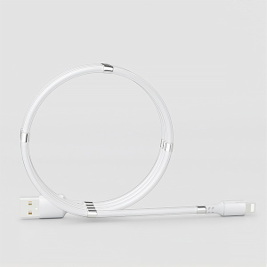 2020  Supercalla til opladning af magnetisk lagringsdata til nyt design